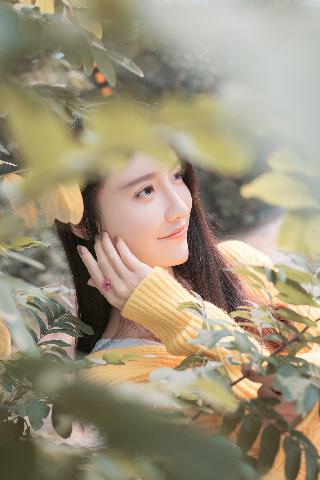 女教师在上免费观看全集电视剧